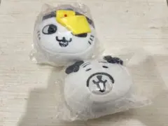 ナガノのくま もっちるフェイスマスコット パグ、キョンシー