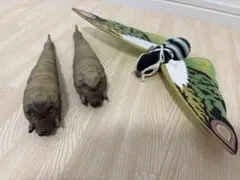 モスラ成虫・幼虫セット
