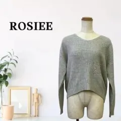zk497 FREE ROSIEE 니트 스웨터 로우 게이지 V넥
