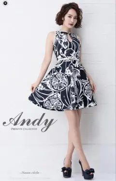 Andy 【新品未使用】フルーツ柄 Aラインドレス