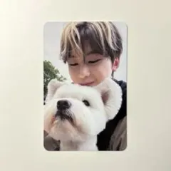 ゼベワン メテュ NEVER SAY NEVER レオ トレカ