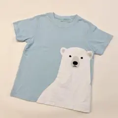 Item thumbnail for item 634cd80e-56dc-4f2d-8a32-aecb09ce6e0f