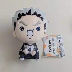 ハイキュー 木兎光太郎 もちぴこぬいぐるみ