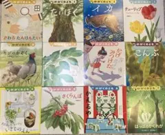 絵本2021ー2024まとめ売り24冊　月刊かがくのとも　2年間分)