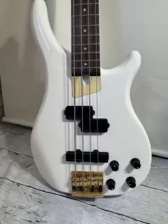 2007年製FERNANDES ベース ハードケース込み - メルカリ