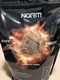 NORM プロテイン チョコレートフレーバー 1750g pp
