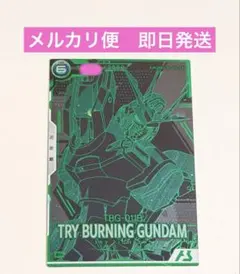 DARTSLIVE CARD エヴァンゲリオン SEELE 01 - メルカリ
