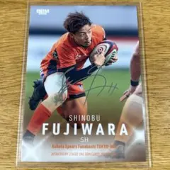 Item thumbnail for item a120ac9c-d6f1-4699-9ef5-18b055e3cfeb