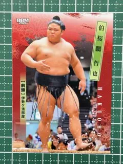 BBM2026大相撲カード 伯桜鵬(伯乃富士) - メルカリ