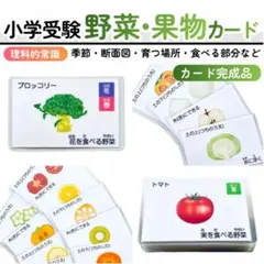 2025年最新】ジャック幼児教室の人気アイテム - メルカリ