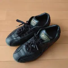 Item thumbnail for item e03f4d78-3d9a-40bd-af84-7d6a3bbfddee