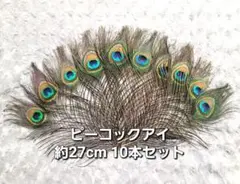 2026年最新】フライマテリアル セットの人気アイテム - メルカリ