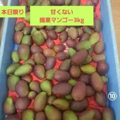 摘果マンゴー 3 kg Size300～ - メルカリ