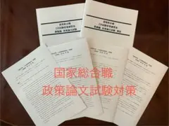 国家総合職二次試験『政策論文』⭐︎特別セット追加品 　LEC様 国家総合職 専門試験 過去問 政治・国際・人文区分（平成29〜令