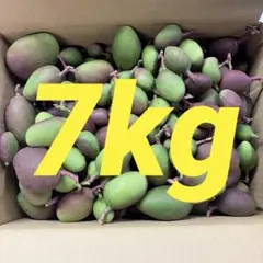 値下げ！お買い得！！早い物勝ち！摘果マンゴー 6キロ - メルカリ