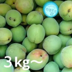青梅 梅シロップ　梅ジャム用 3kg　無農薬のサムネイル