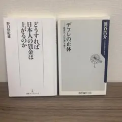 新書 2冊セット 経済分野 まとめ売り