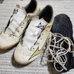 Item thumbnail for item 997c1ff4-6a5f-4580-85e5-e4372b9d23b3