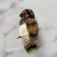 2026年最新】雷鳥のふる里の人気アイテム - メルカリ