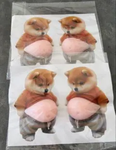 お腹プニプニシール　柴犬　3Dシールステッカ　2個セット(4個入り)