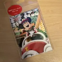 ディズニー 2025 トイズワンダラス クリスマス 写真 10枚セット