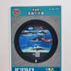 2026年最新】大洗 マンホールカードの人気アイテム - メルカリ