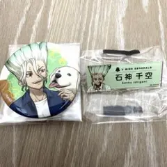 Dr.STONE 石神千空 缶バッジ ネームバッジ 2点セット