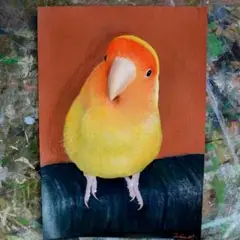 アクリル画　部屋の中のコザクラインコ　Ａ４