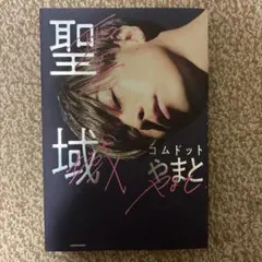 コムドット 文学・小説