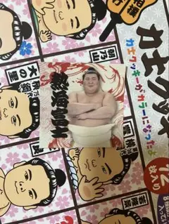 大相撲 熱海富士 ステッカー ファンクラブ限定 非売品