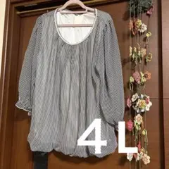 ◯大きいサイズ◯４Lシフォントップス