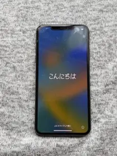 Apple iPhone 11 ProMax 本体 256GB
