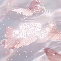 ぴぴ様専用ページ