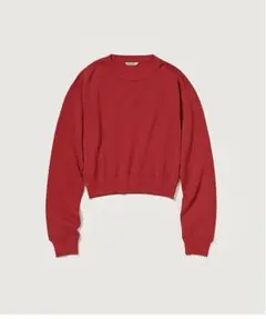 AURALEE HIGH TWIST LIGHT SWEAT 0のサムネイル