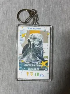 4/21 新商品 鳥羽水族館 キラお誕生日福袋 小 - メルカリ