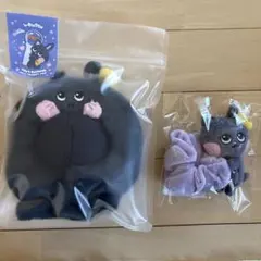 RIIZE ウォンビン トルニャンドク ペンライトカバー シュシュ リラズ