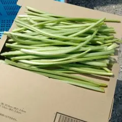安曇野産 わさびの茎 500グラム - メルカリ