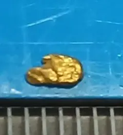 国産砂金 中粒小粒 全て厚みあり 天然金 自然金 GOLD M18 - メルカリ