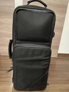 2025年最新】BACH トランペットケースの人気アイテム - メルカリ