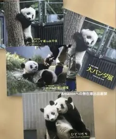 パンダのすごい世界　香香　福宝　和花　盼青の第一子　入場者特典　入場　特典 パンダのすごい世界 香香 福宝 和花 盼青の第一子 入場者特典 入場
