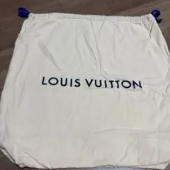 LOUIS VUITTON 保存袋 巾着袋✨美品✨58×60のサムネイル