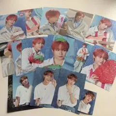 &TEAM NICHOLAS シーグリ　切り抜き