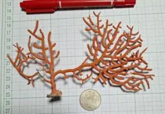 Item thumbnail for item 76e60ab3-4026-48ee-88db-b91459cb0410