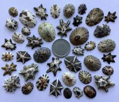 totopiro様 リクエスト 2点 まとめ商品