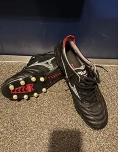 ミズノモレリアネオ4