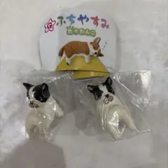 ふちやすみ色々わんこカプセルトイ
