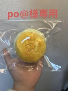 po＠様専用ページ