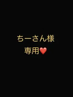 ちーさん様 リクエスト 2点 まとめ商品