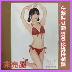 小湊よつ葉 DVD 特典 生写真 1枚/ グラビアアイドル チェキ セクシー女優のサムネイル