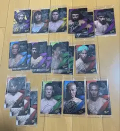 Item thumbnail for item 1729c7db-18e8-4355-952f-d8155ce1f44a